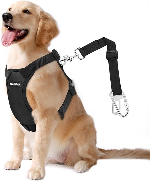 Pettorina auto con cintura di sicurezza per cani - Image 2