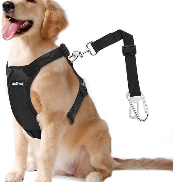 Pettorina auto con cintura di sicurezza per cani