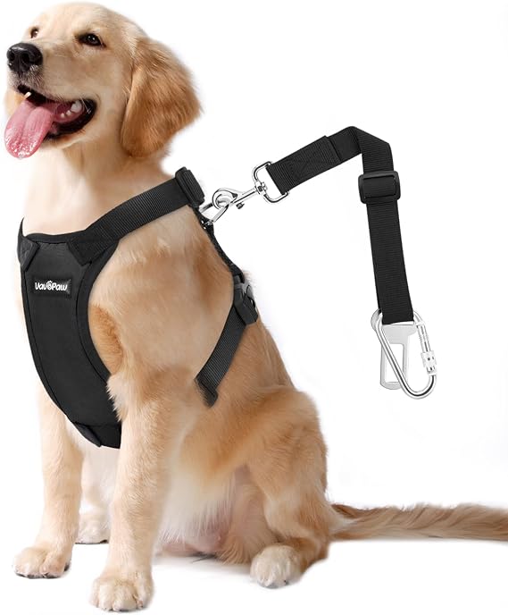 Pettorina auto con cintura di sicurezza per cani