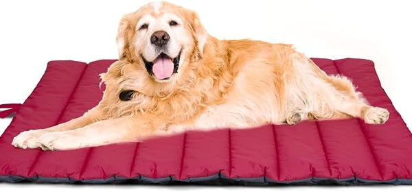 Tappetino igienico lavabile per cani