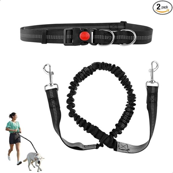 Guinzaglio in nylon a doppia maniglia per cani