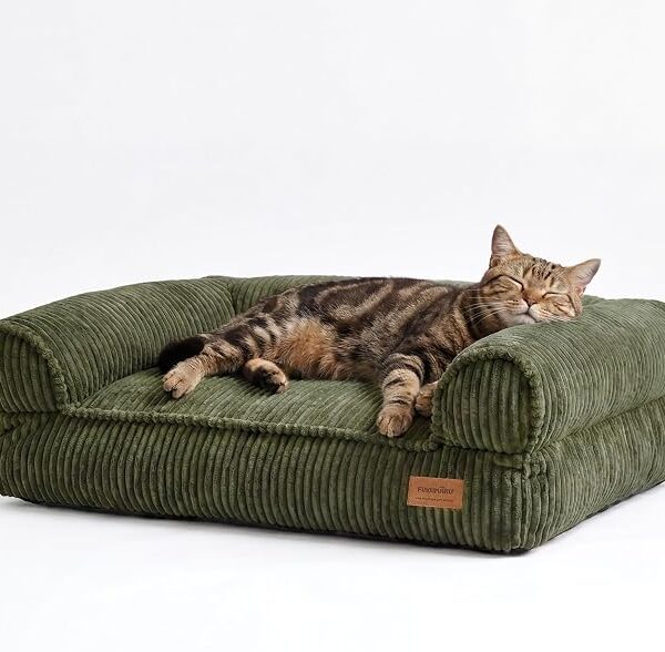 Cuccia in velluto per gatti