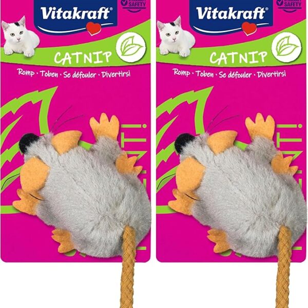Gioco Interattivo Gatto Topolino