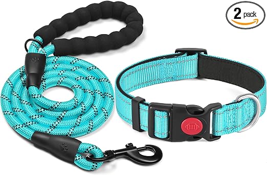 Collare per cani in nylon regolabile - Image 3