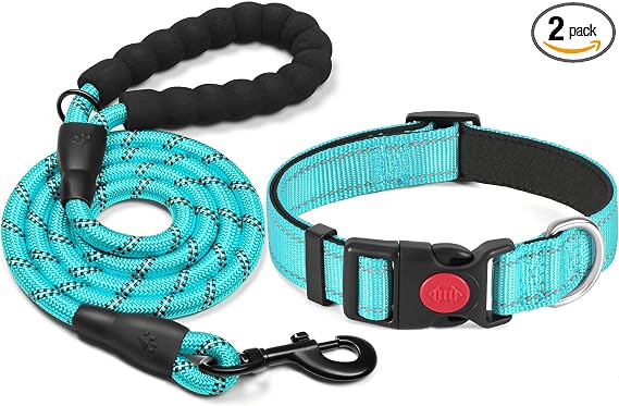 Collare per cani in nylon regolabile - Image 2