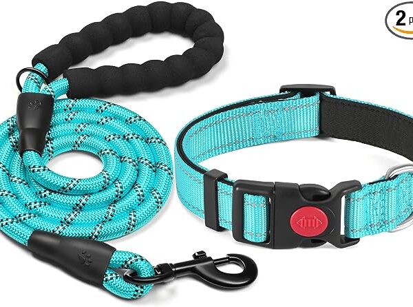 Collare regolabile in nylon per cani